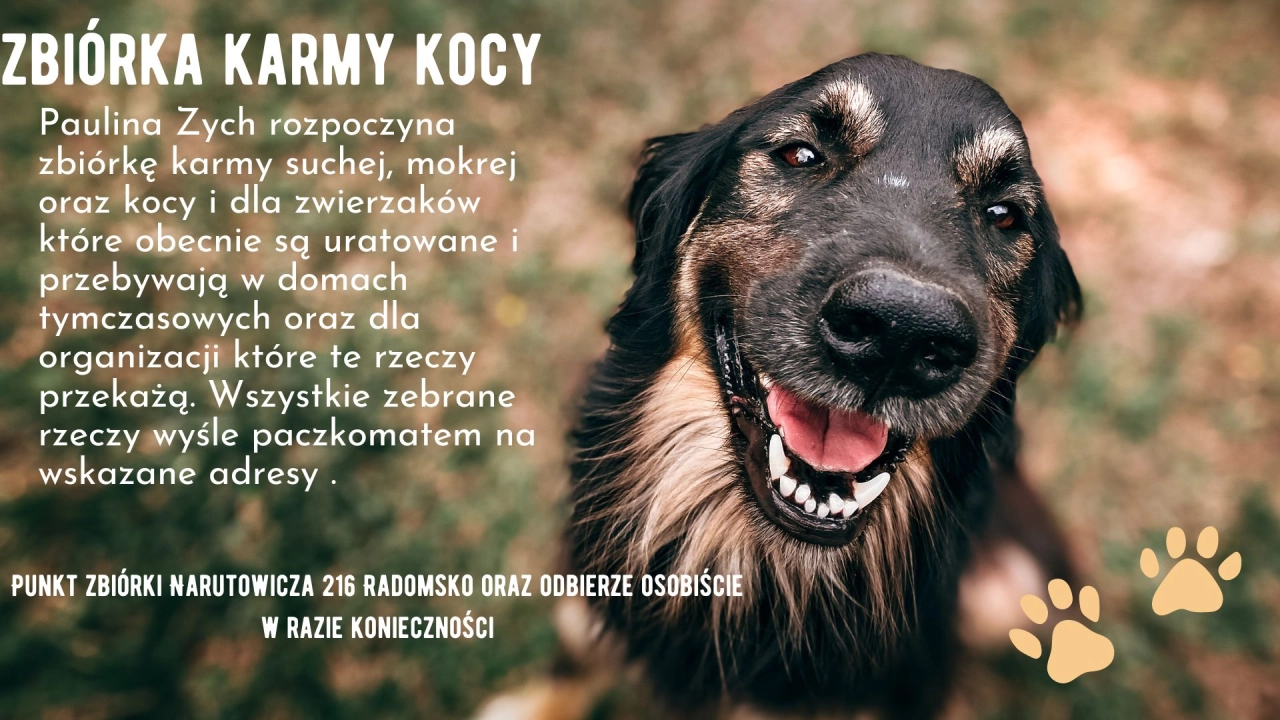 Zbiórka karmy i koców dla uratowanych zwierzaków