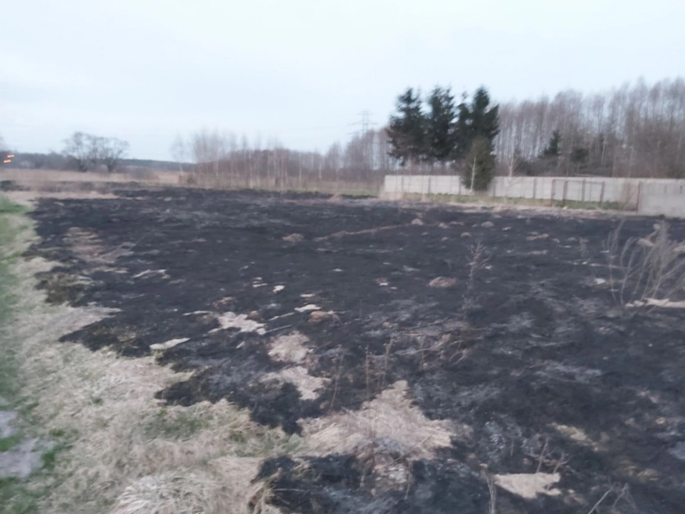 30 arów suchej trawy spłonęło w Przedborzu