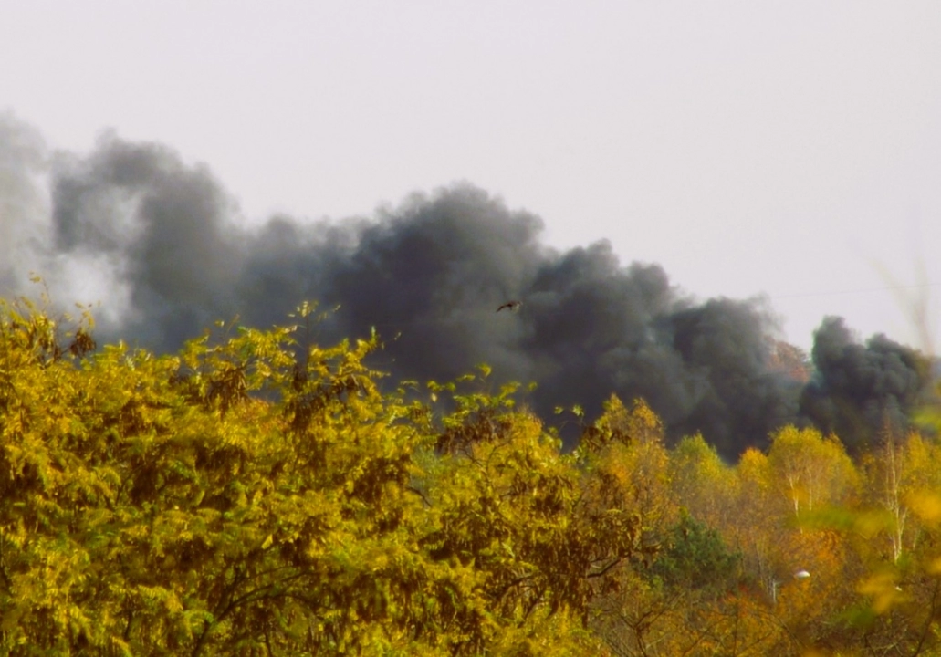Czarny dym nad Radomskiem. Paliły się porzucone opony