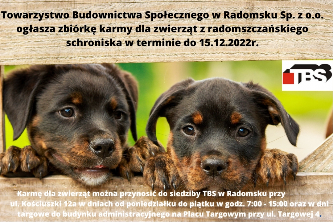 TBS w Radomsku organizuje zbiórkę karmy dla bezdomnych zwierząt