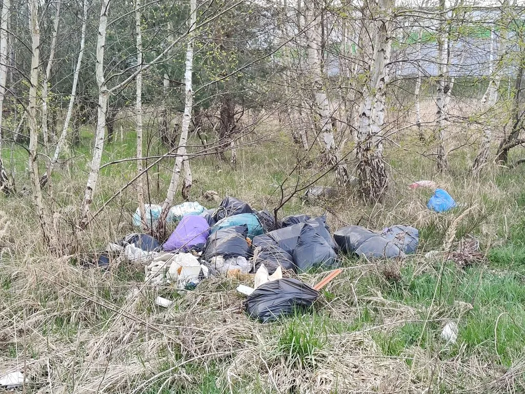 Opony, butelki, worki. Dlaczego wciąż wyrzucamy śmieci gdzie popadnie