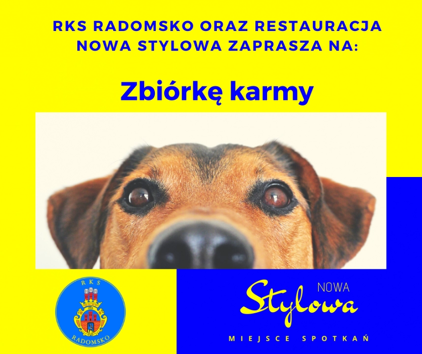 Klub RKS Radomsko organizuje zbiórkę karmy dla zwierząt ze schroniska