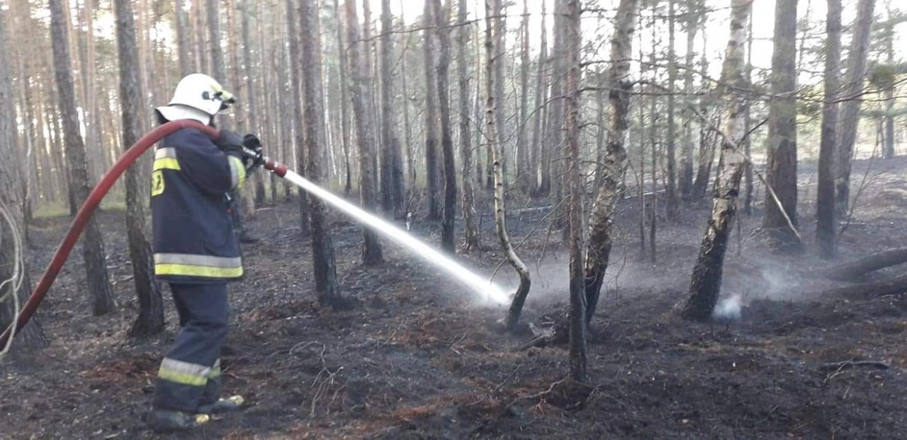Pożar lasu w Małej Wsi
