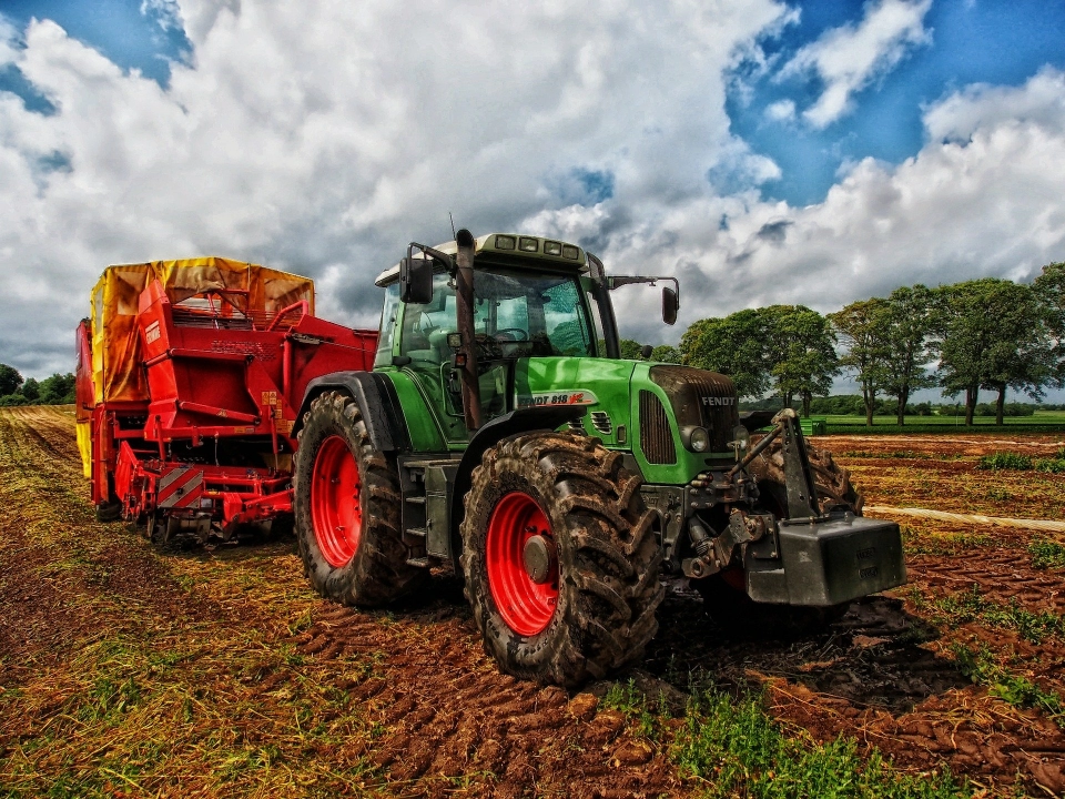 ARiMR: 300 tys. zł na odtworzenie potencjału produkcji rolnej