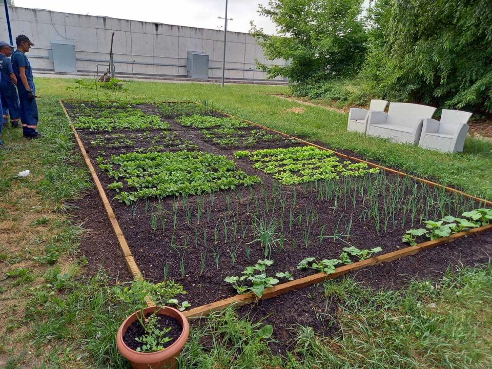 Co zrobić z jedzeniem po świętach? PGK Radomsko przypomina: nie marnuj – segreguj - kompostuj