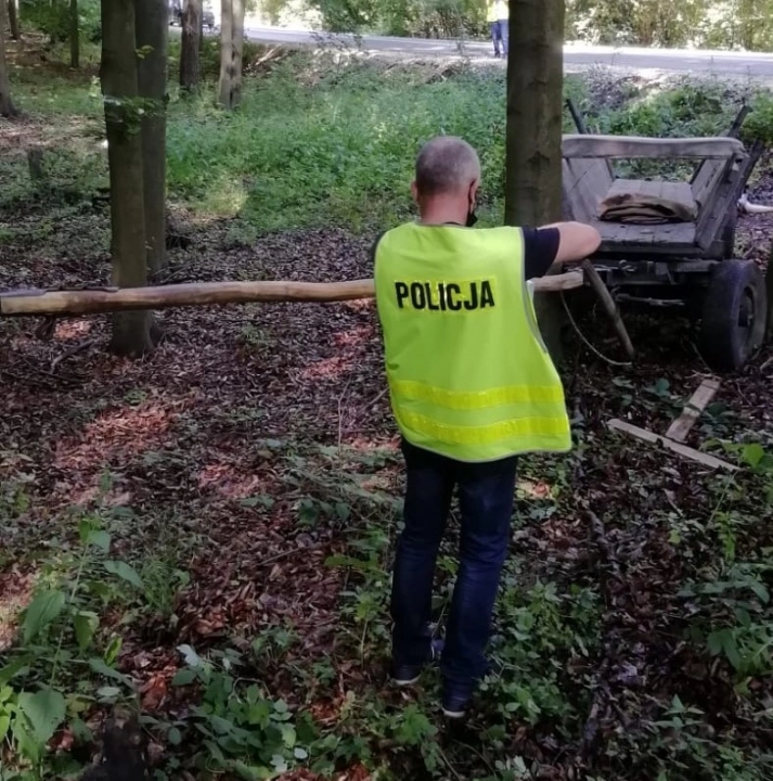 Śmiertelny wypadek w gminie Przedbórz. Nie żyje 66-letni woźnica
