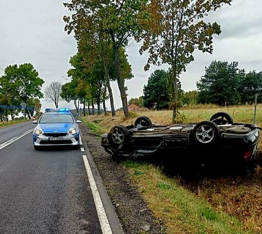 [WIDEO] Sarna wybiegła na drogę. Samochód dachował