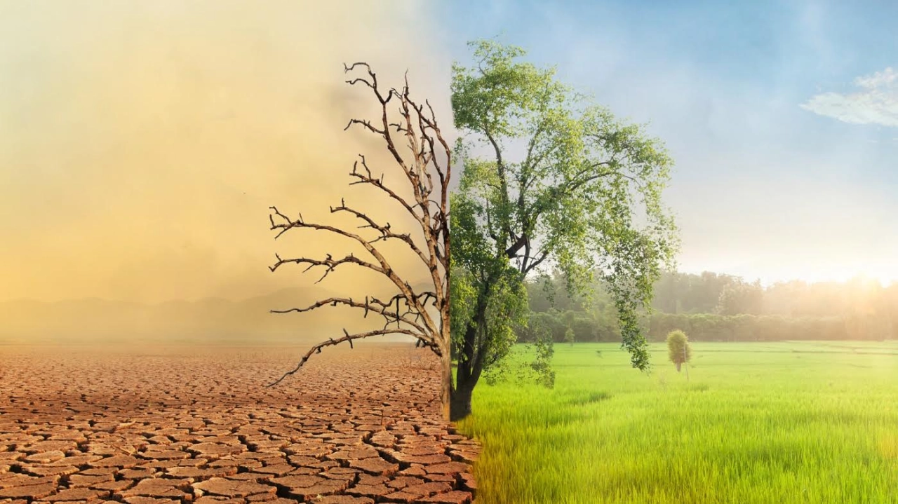 Zmiany klimatyczne a rolnictwo