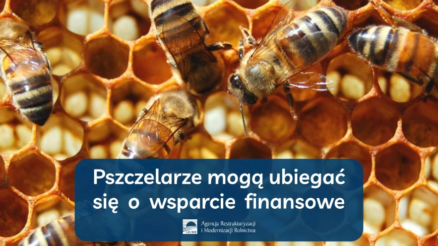 Pszczelarze mogą ubiegać się o wsparcie finansowe