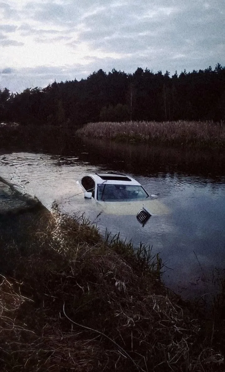 [WIDEO] Chciał ominąć zwierzę. Samochód wylądował w rzece