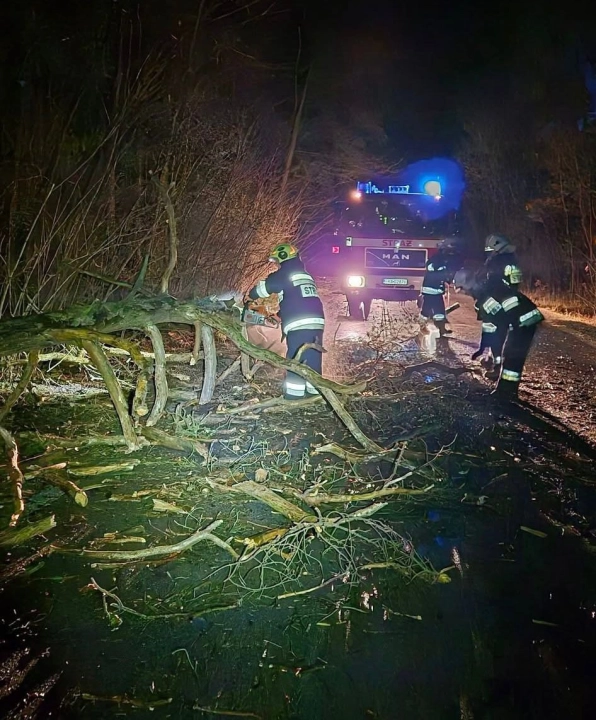 Silny wiatr w regionie. Strażacy usuwali połamane drzewa