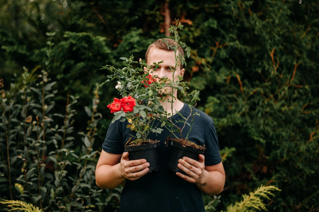 Róża choroba - objawy, przyczyny oraz skuteczne metody leczenia