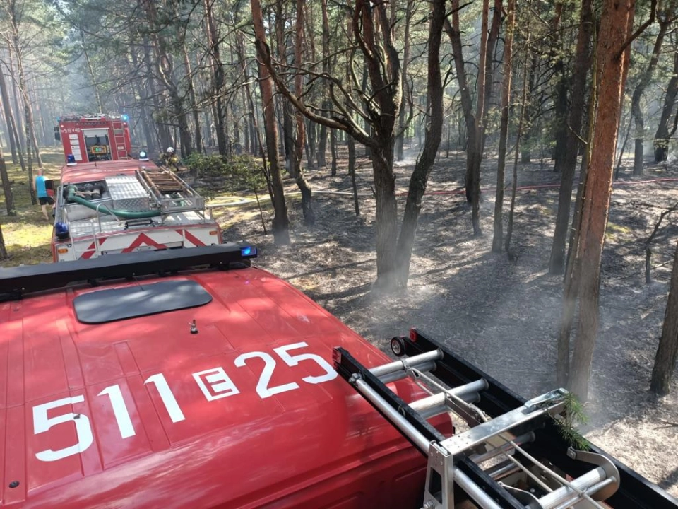 Płonie las przy drodze Radomsko-Szczepocice Rządowe