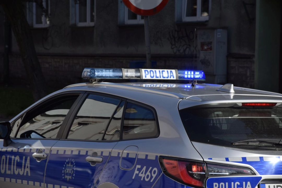 Potrącony pies na autostradzie A1