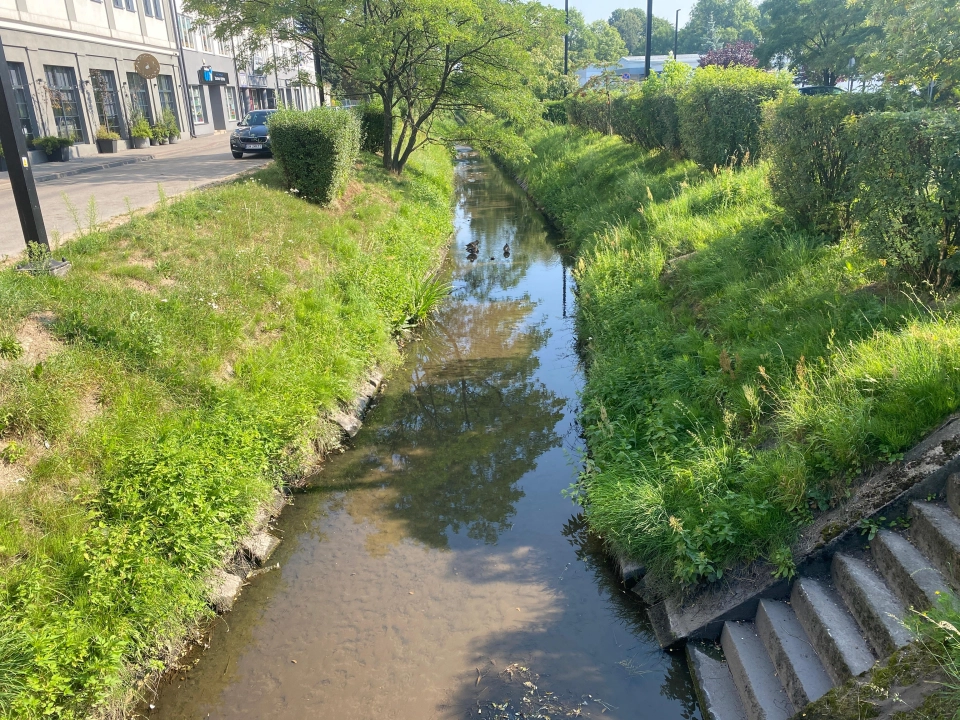 Czas na trzecią edycję „Operacji Czysta Rzeka Radomka”