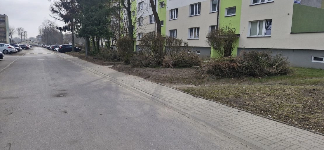 Zniknęły żywopłoty, pojawiły się pytania