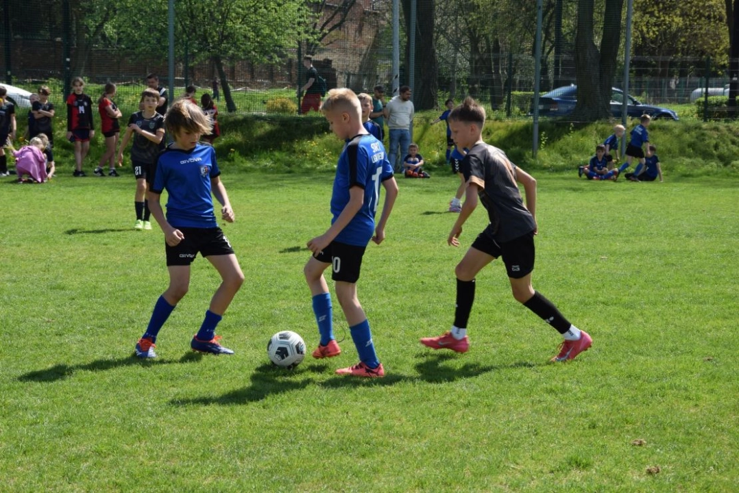 XXV Puchar Tymbarku. Radomsko gospodarzem regionalnych eliminacji