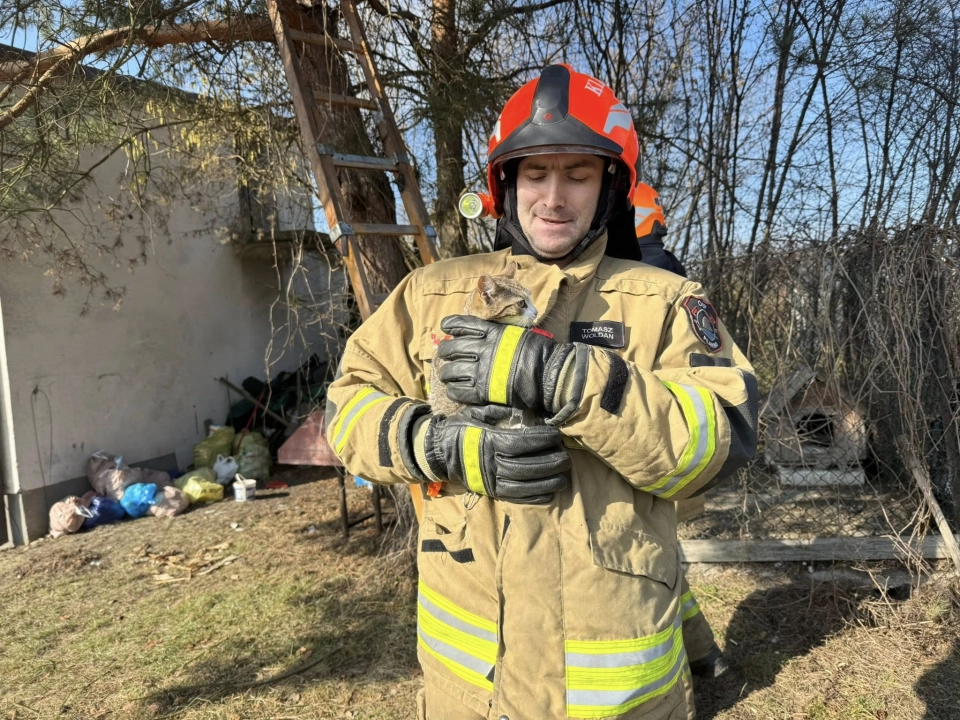 Kocia interwencja strażaków w Pławnie