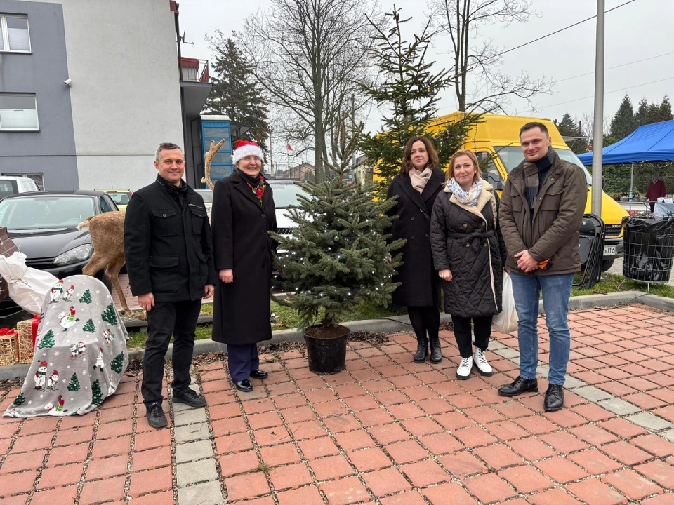 Drugie życie choinek