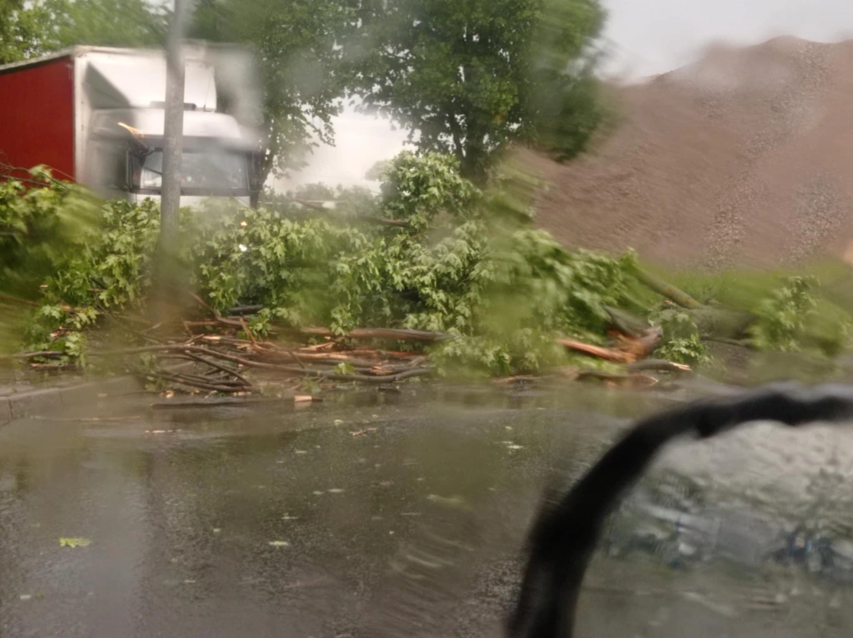 Burza nad powiatem radomszczańskim. Interwencje strażaków i powalone drzewa