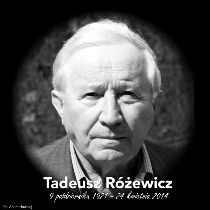 Mija 7. rocznica śmierci Tadeusza Różewicza
