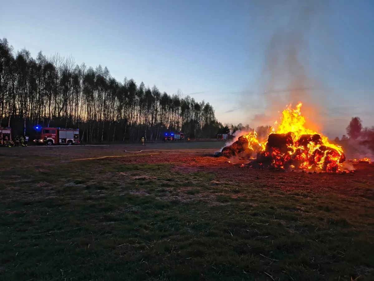 Pożar balotów słomy w Gorzędowie