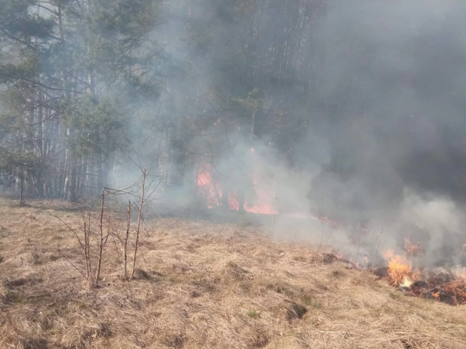 Samoloty gaszą pożary lasów w powiecie radomszczańskim