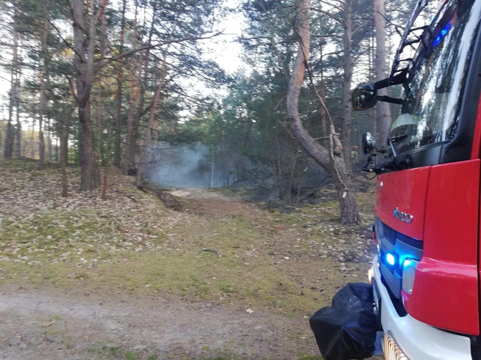 Spaliło się 5 arów poszycia leśniego w okolicach Żytna