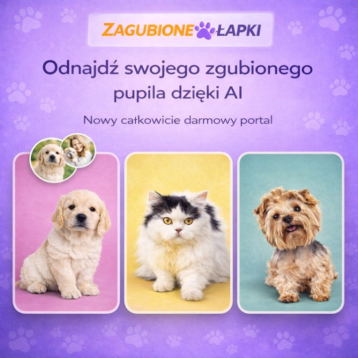 Zgubiłeś psa lub kota? Powstała ogólnopolska baza ogłoszeń