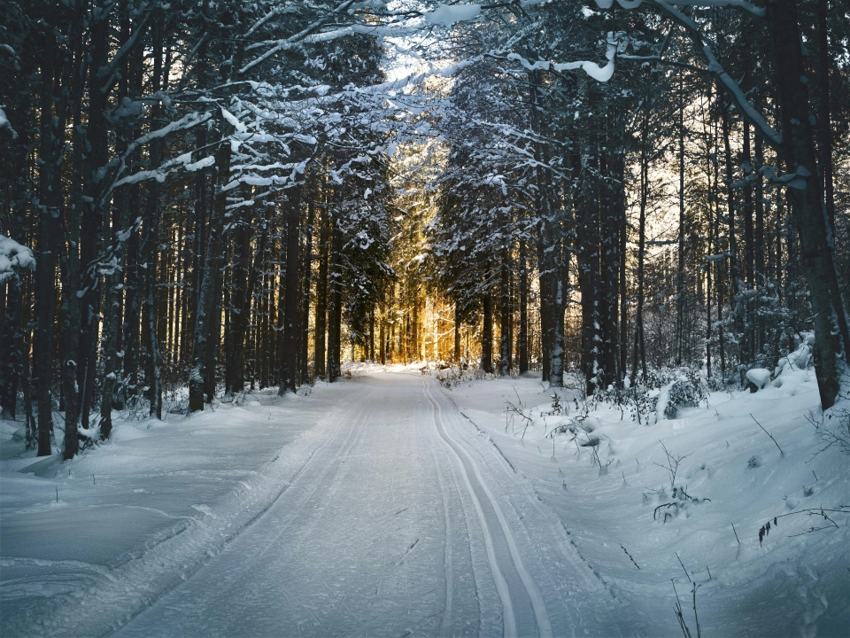 Uwaga na gołoledź. Będzie ślisko