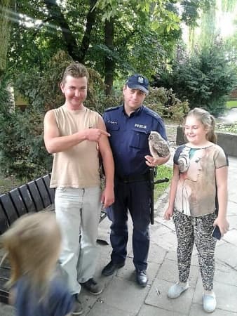 Dzielnicowy uratował sowę