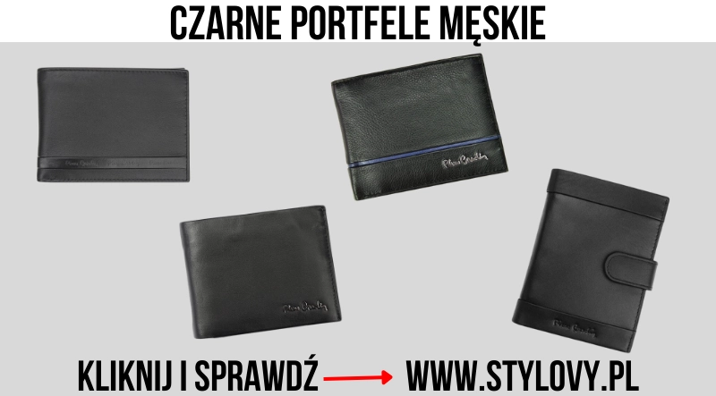 https://stylovy.pl/portfele-meskie-czarne