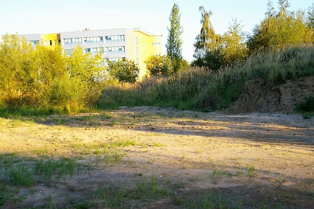 Kiedy rozpocznie się budowa parku przy ul. Jagiellońskiej w Radomsku?