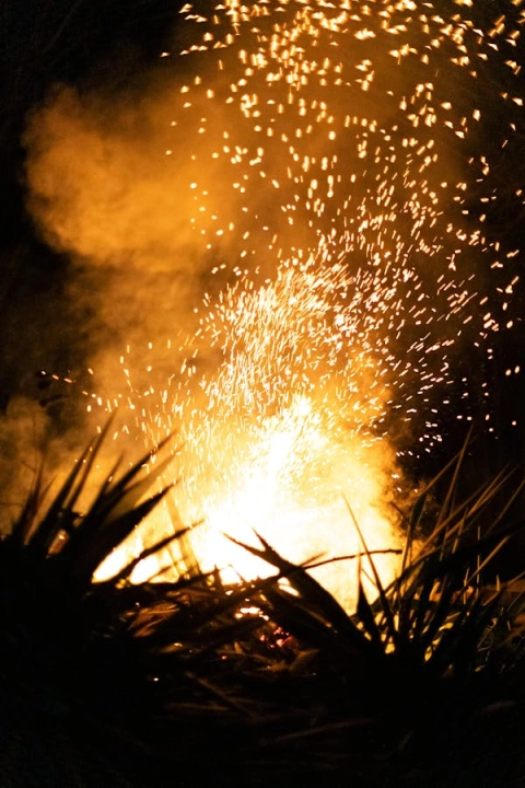 Pożar traw w miejscowości Taras