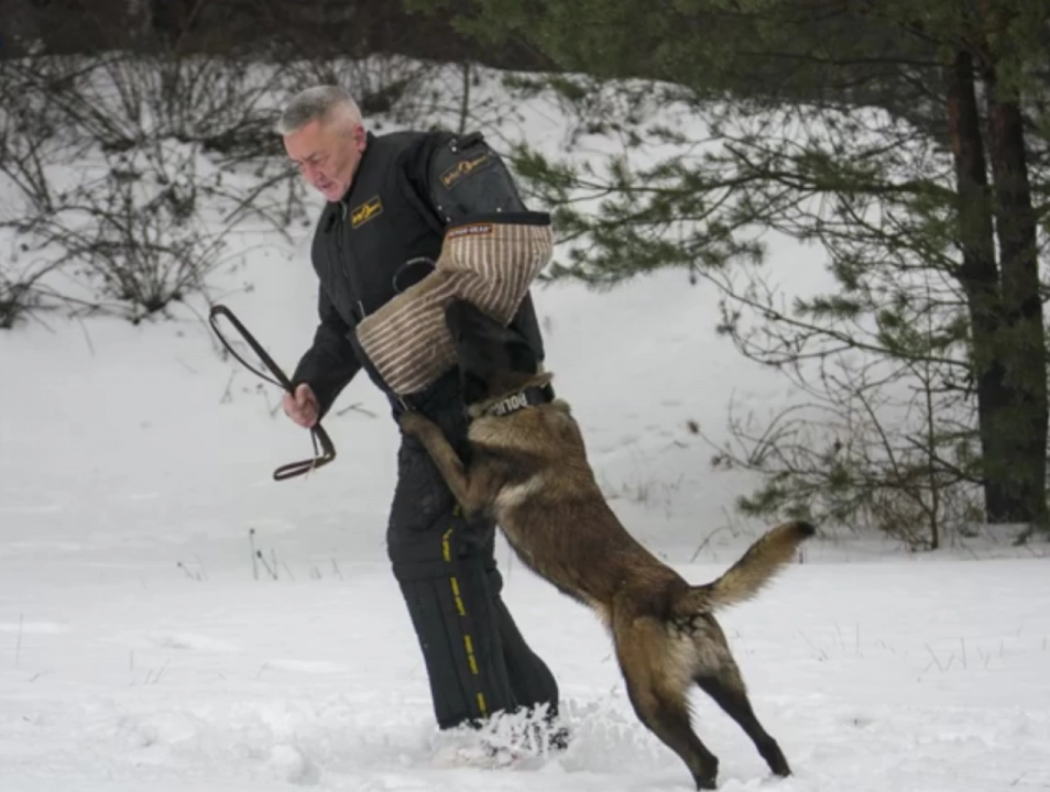 „Omo” – nowy psi funkcjonariusz w Radomsku
