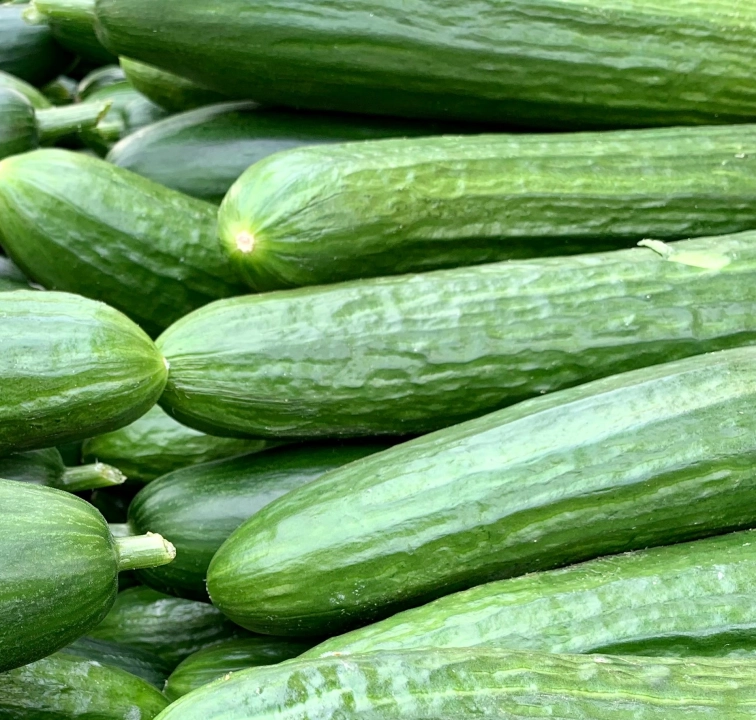 Ogórek w głównej roli