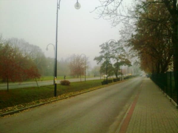 Gęste mgły w powiecie radomszczańskim. Widoczność spadnie poniżej 200 m