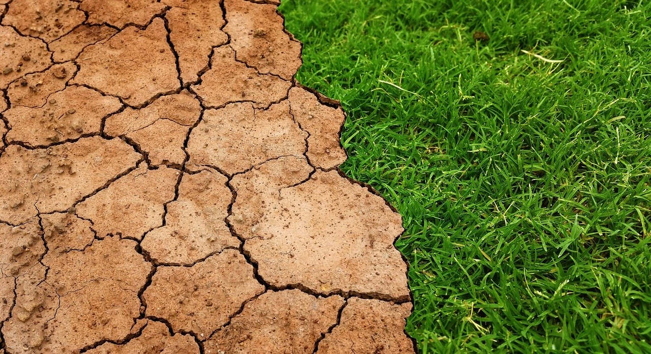 Trwa nabór wniosków o udzielenie pomocy COVID-19 rolnikom poszkodowanych ubiegłoroczną suszą