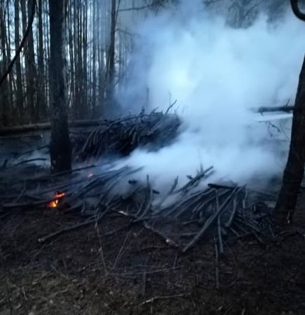 Liczne pożary suchych traw oraz lasu w powiecie radomszczańskim
