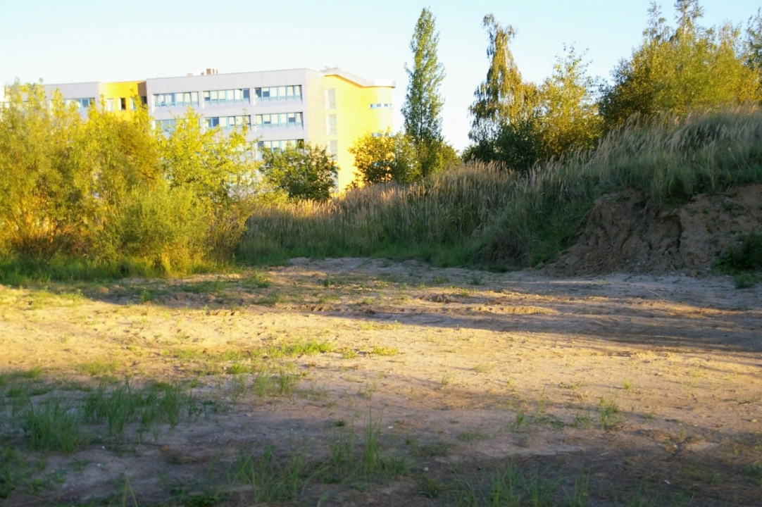 Urząd Miasta chce pozyskać pieniądze na budowę parku przy ul. Jagiellońskiej