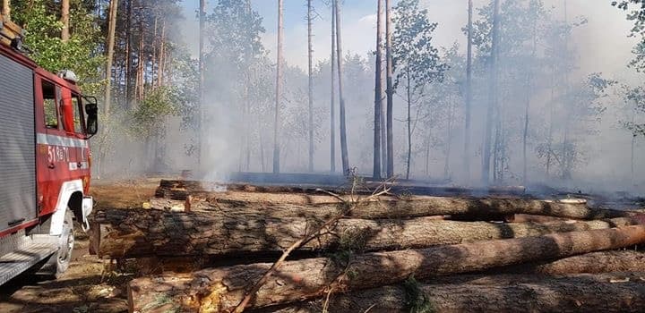 Płonął las