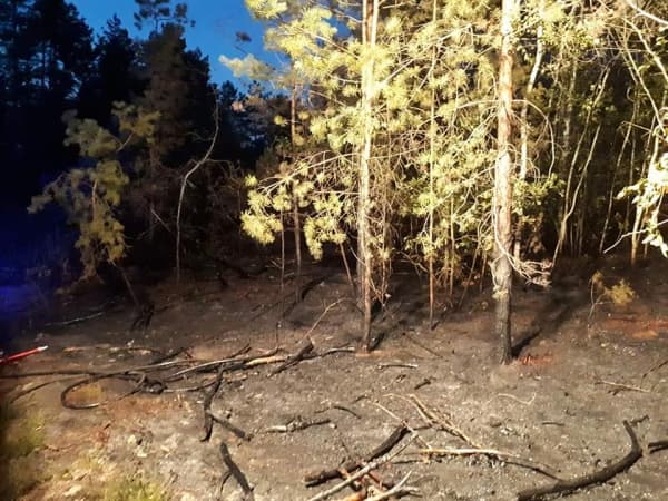 Pożar poszycia leśnego w Załawiu