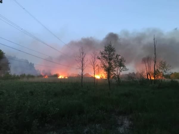 Spłonęło 5 hektarów traw