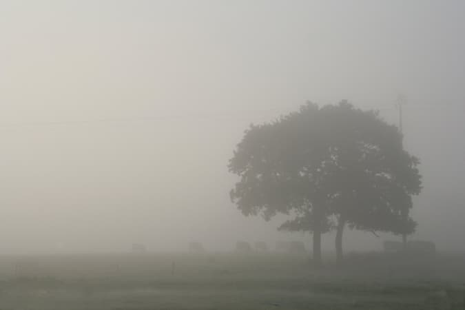 Uwaga na silne mgły w regionie