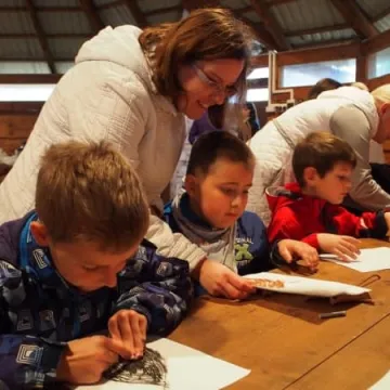 Terapia w lesie daje świetne efekty