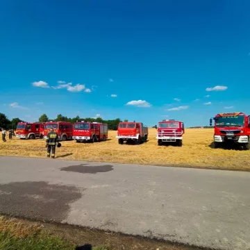 W Korytnie spłonęło 15 ha ścierniska