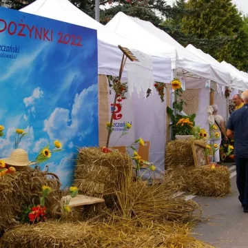 Dożynki Województwa Łódzkiego w Radomsku