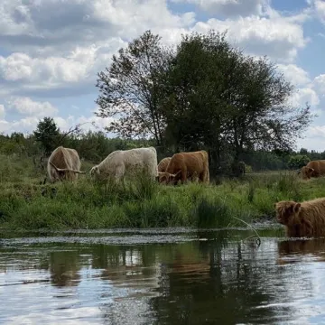 ERA Travel zaprasza na spływy kajakowe