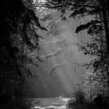 Trwa konkurs fotograficzny 