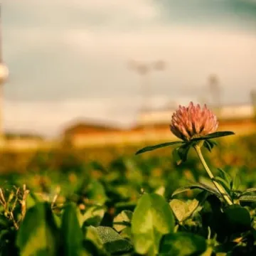 Weekendowe warsztaty plenerowe